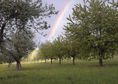 Grünland-und-Streuobstwiesen-Regenbogen